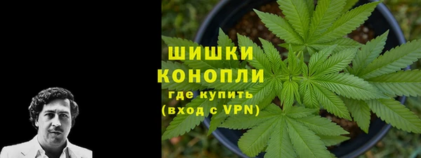 apvp Коряжма