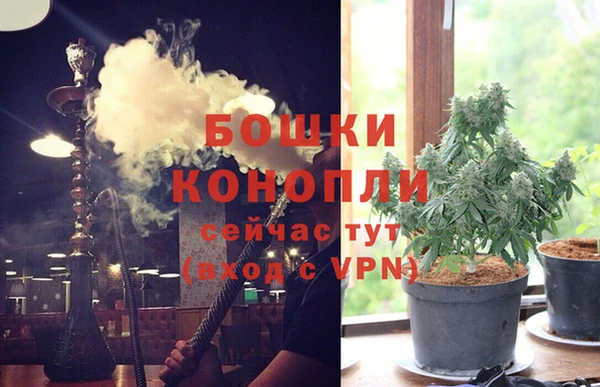 спайс Корсаков