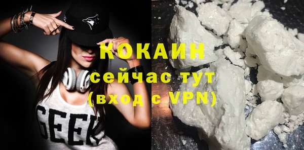 спайс Корсаков