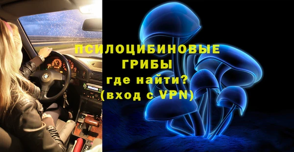 спайс Корсаков