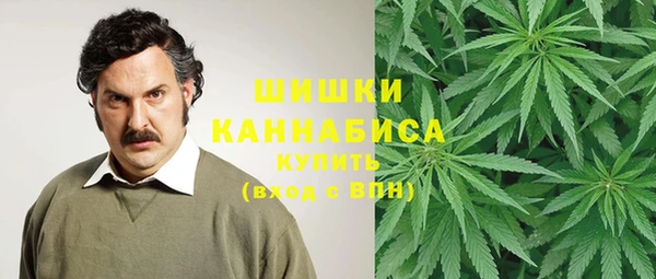 apvp Коряжма