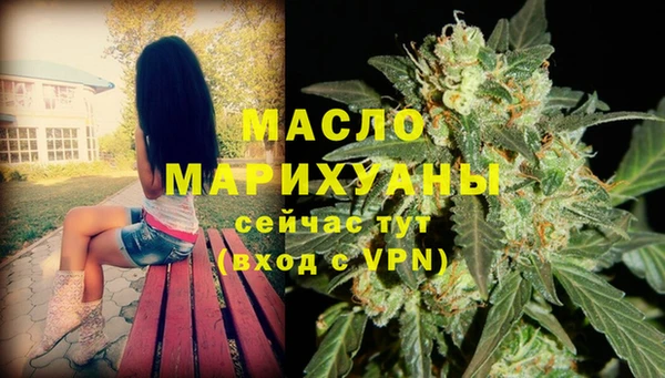спайс Корсаков