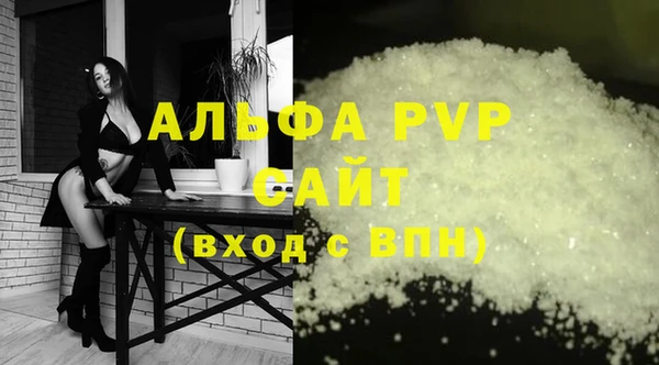 спайс Корсаков