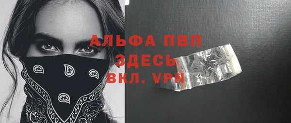 спайс Корсаков